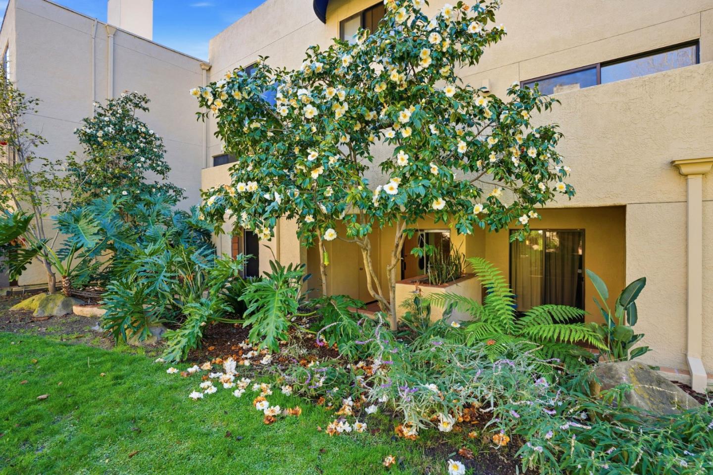 153 California Ave #F107 PALO ALTO, CA 94306