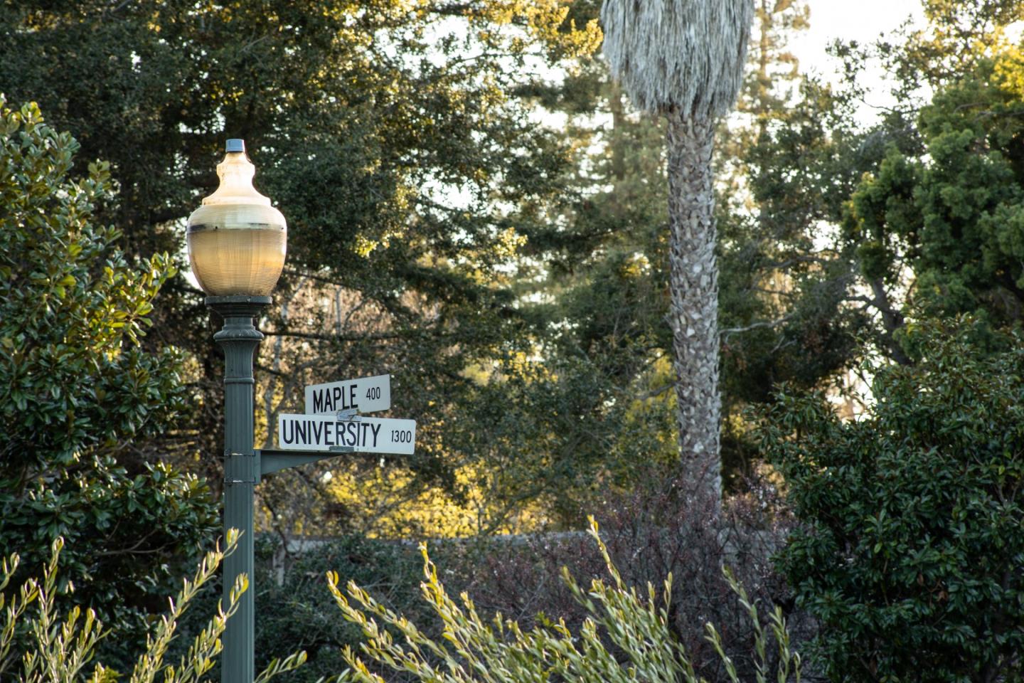 1307 University Ave PALO ALTO, CA 94301