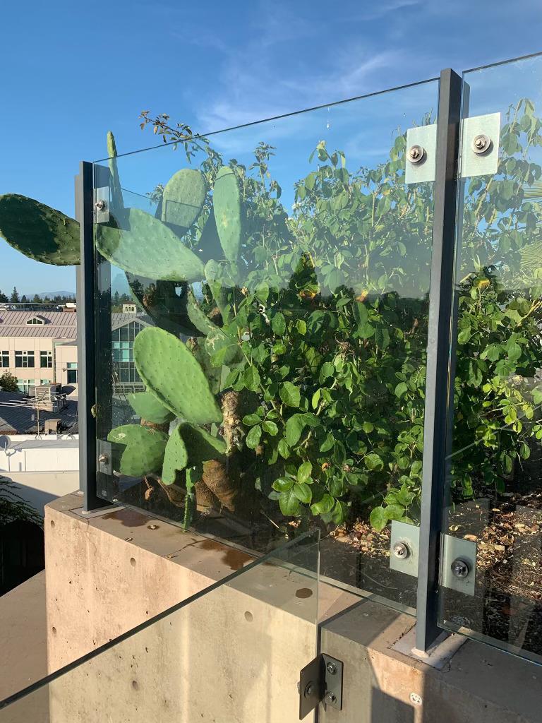 102 University Ave #3A 3B 3C PALO ALTO, CA 94301