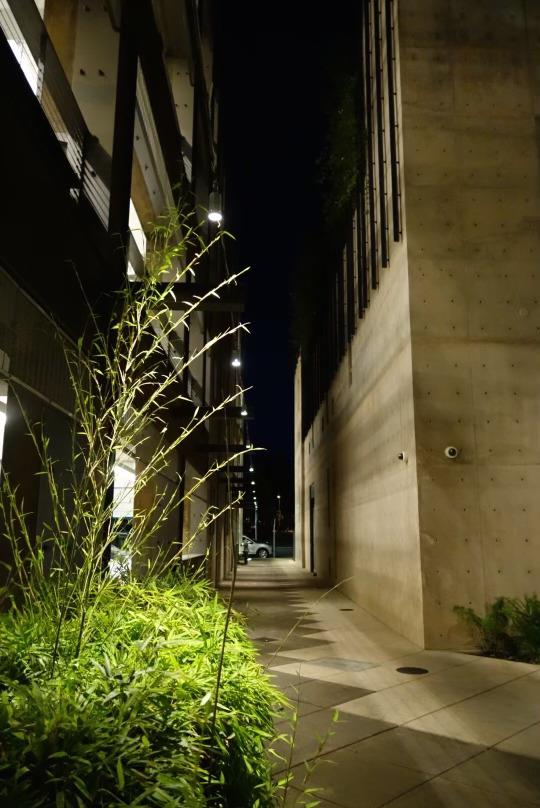 102 University Ave #3A 3B 3C PALO ALTO, CA 94301