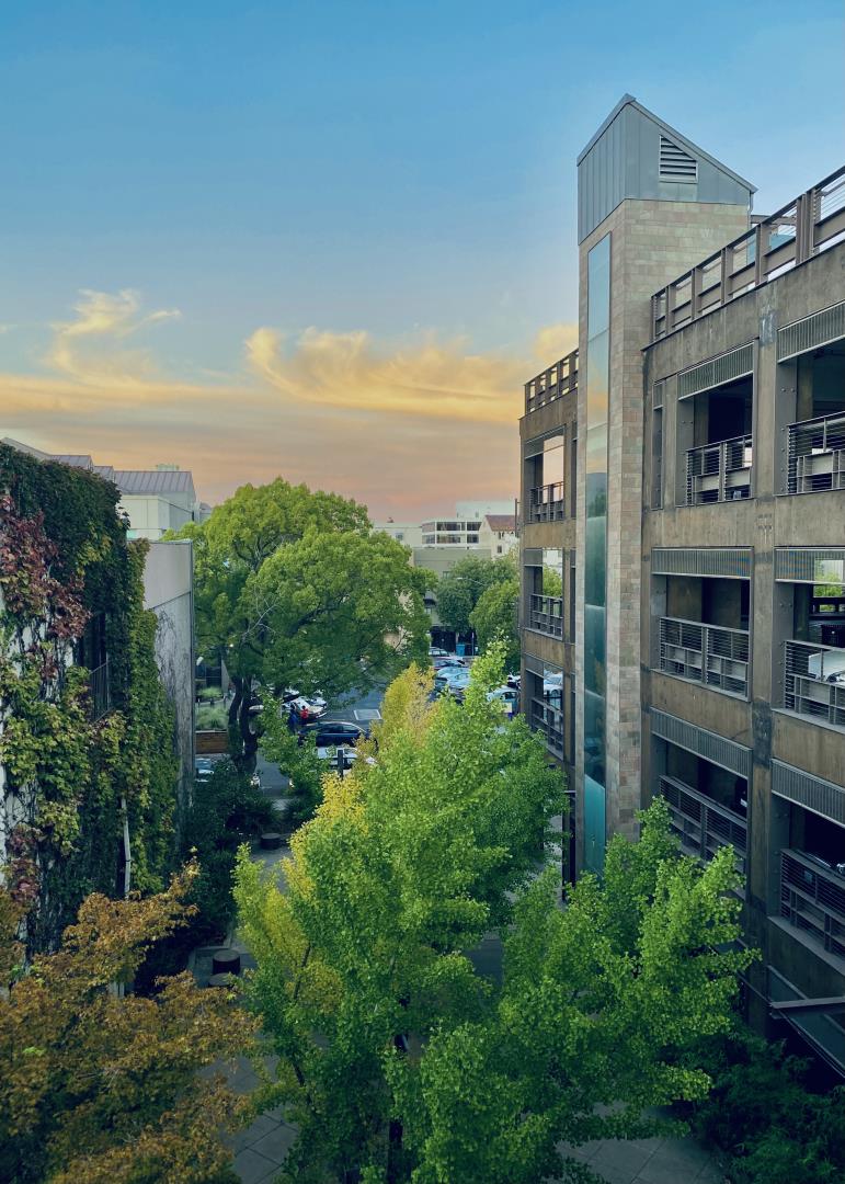 102 University Ave #3A 3B 3C PALO ALTO, CA 94301