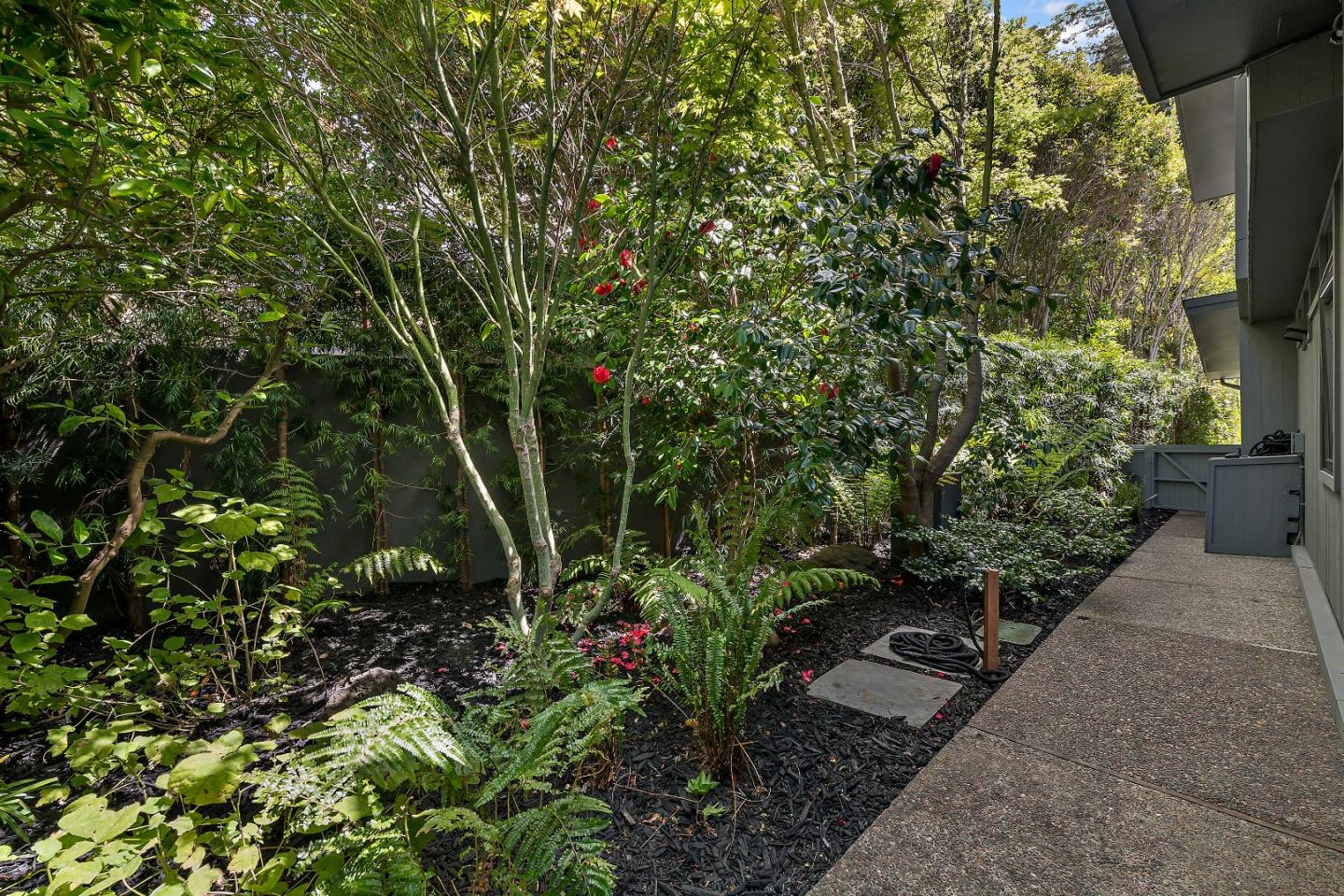 1101 Hamilton Ave Palo Alto, CA 94301