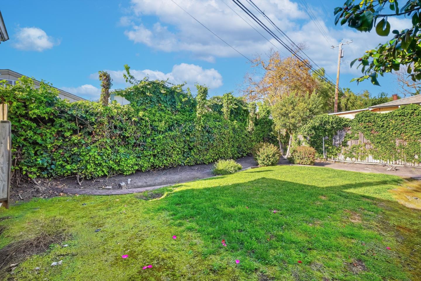 779 Garland Dr PALO ALTO, CA 94303